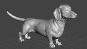 Cachorro DachShund #71