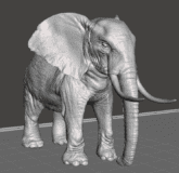 Elefante Africano #230